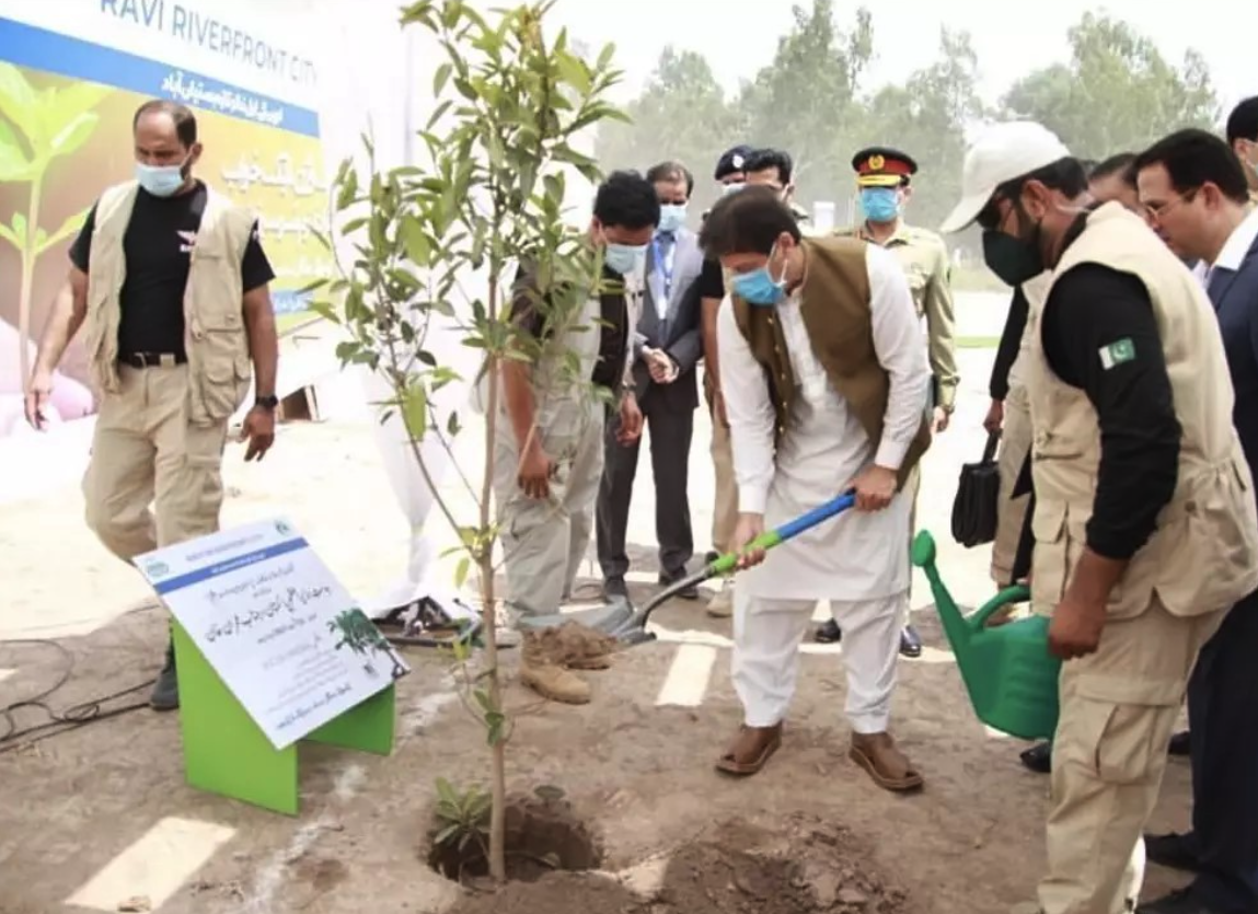Imran Khan plants a tree as Prime Minister